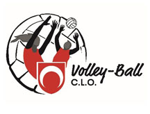 logo VOLLEY