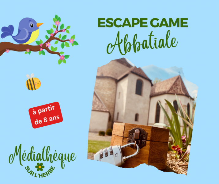 048.AG-MsH-307-Escape_game
